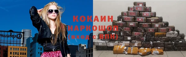 СК Пересвет