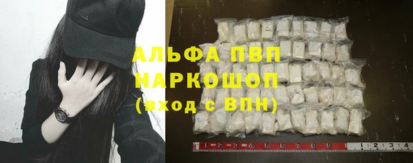 стаф Осинники