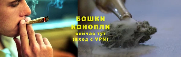 бошки Переславль-Залесский