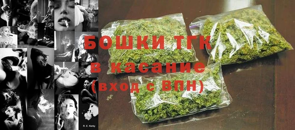 мдпв Пестово