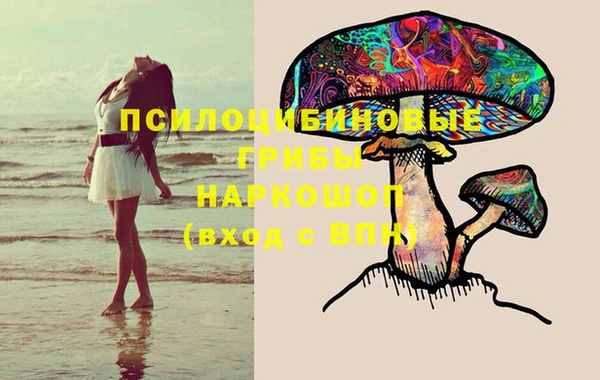мдпв Пестово