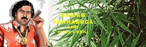 мдпв Пестово