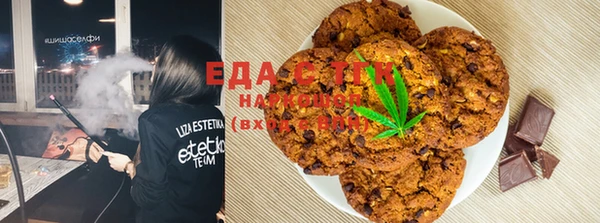 СК Пересвет