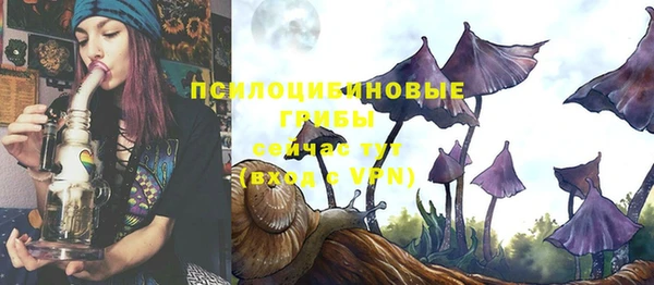 СК Пересвет