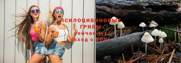 бошки Переславль-Залесский