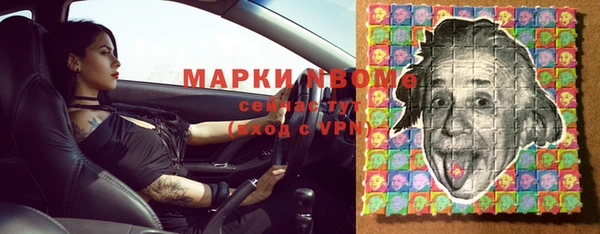 мдпв Пестово