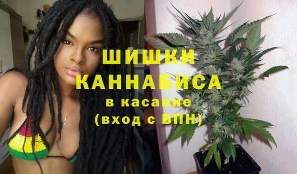 мдпв Пестово