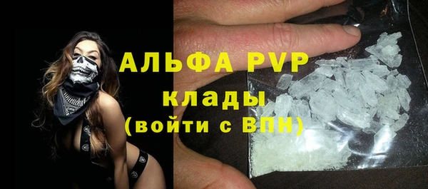 СК Пересвет